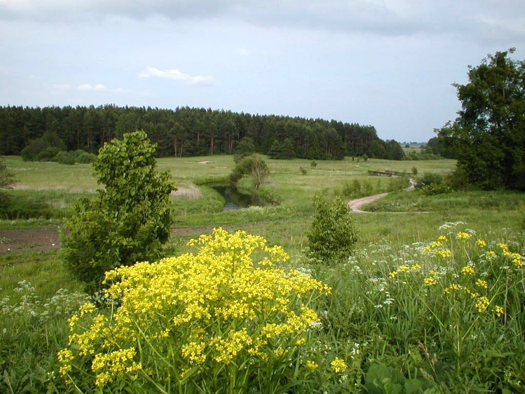 Palac Wojciechy Esterno foto
